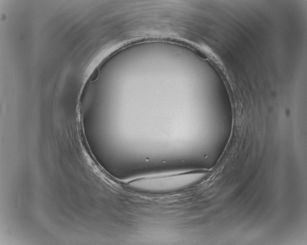 X0000053111287200508012115