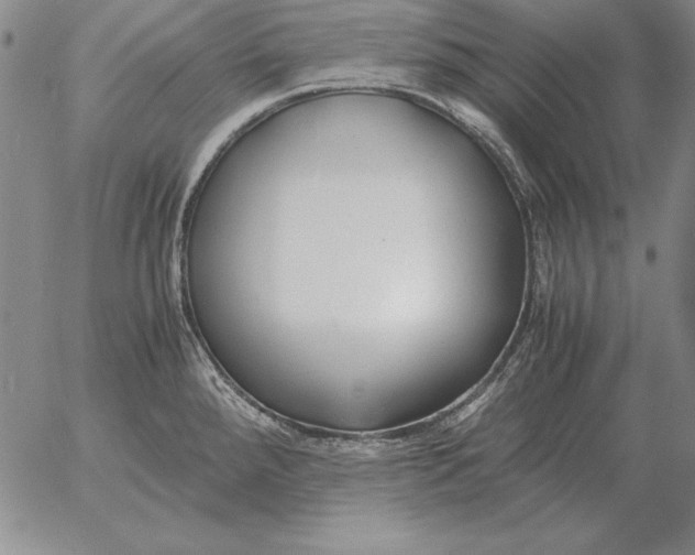 X0000053111288200508012115