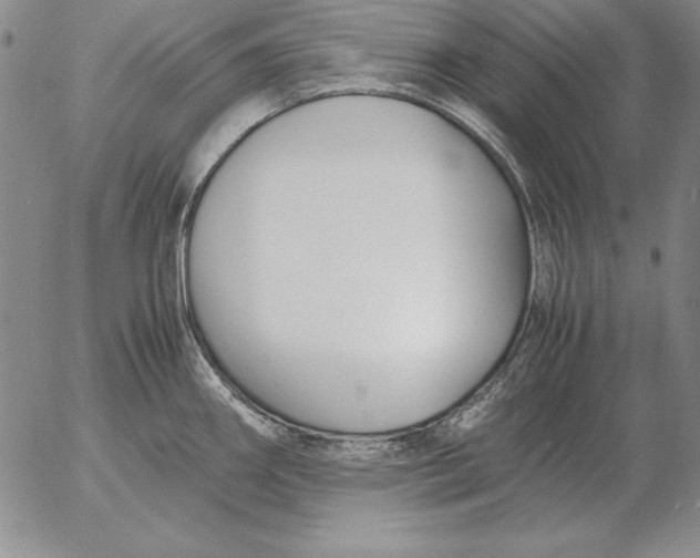 X0000053111290200508012115