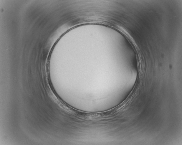 X0000053111291200508012115