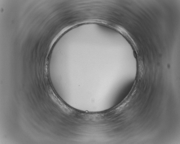 X0000053111292200508012115