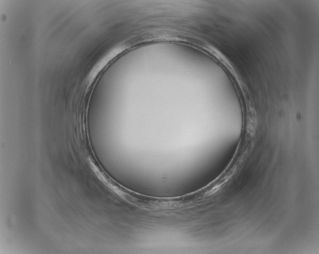 X0000053111293200508012115