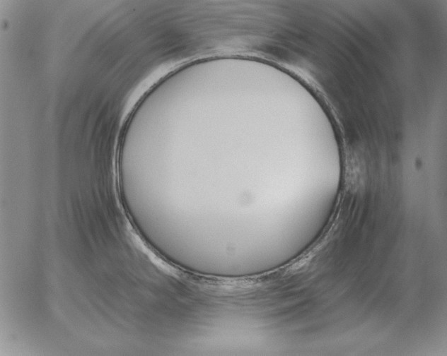 X0000053111294200508012115