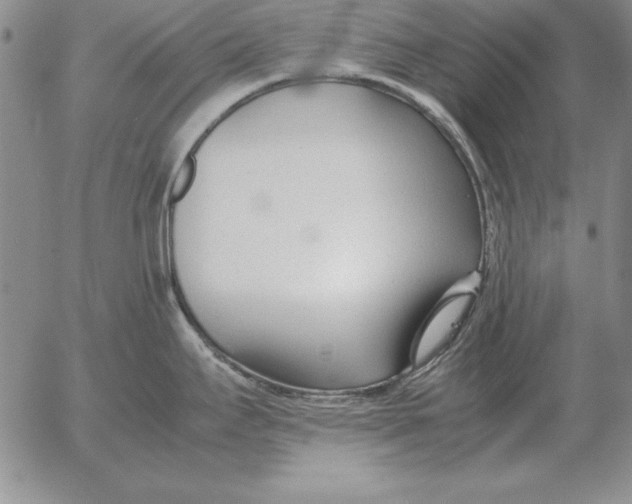 X0000053111295200508012115