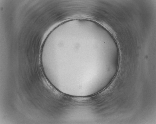 X0000053111296200508012115