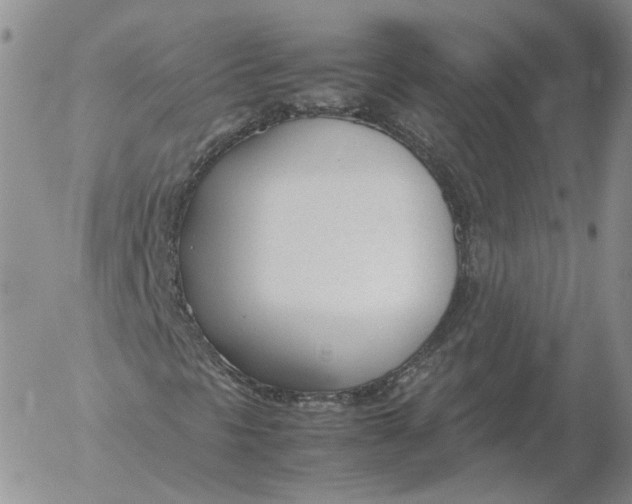 X0000053111297200508012114