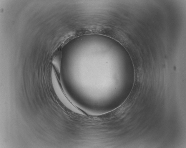 X0000053111298200508012114