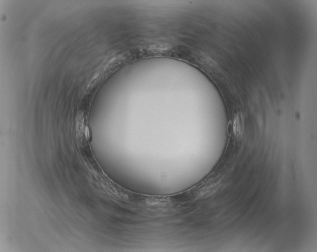 X0000053111299200508012114