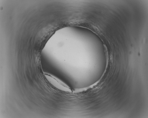 X0000053111300200508012114