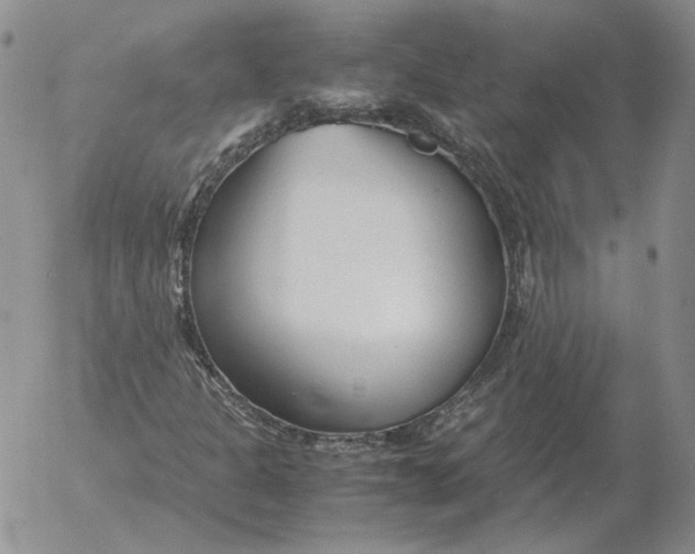 X0000053111301200508012114