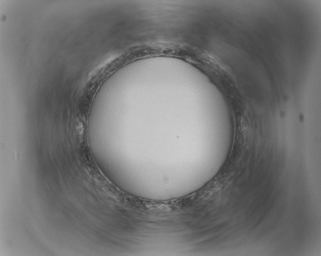 X0000053111302200508012114