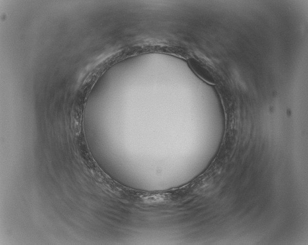 X0000053111303200508012114