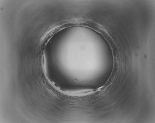 X0000053111304200508012114