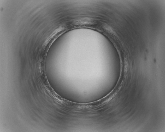 X0000053111305200508012114