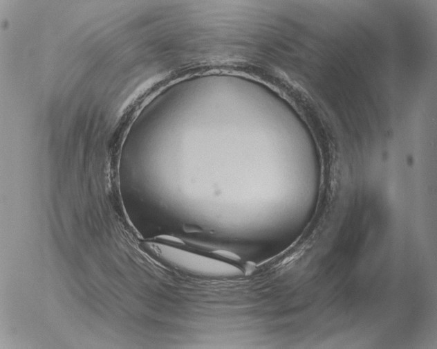 X0000053111306200508012114