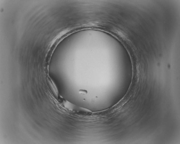 X0000053111308200508012114