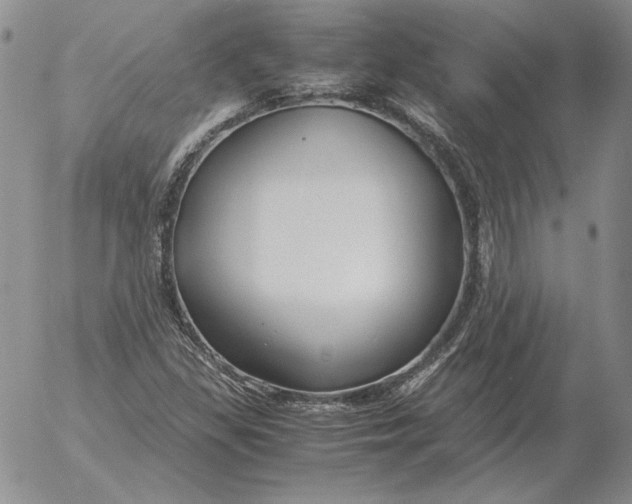 X0000053111309200508012114