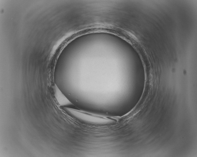 X0000053111310200508012114