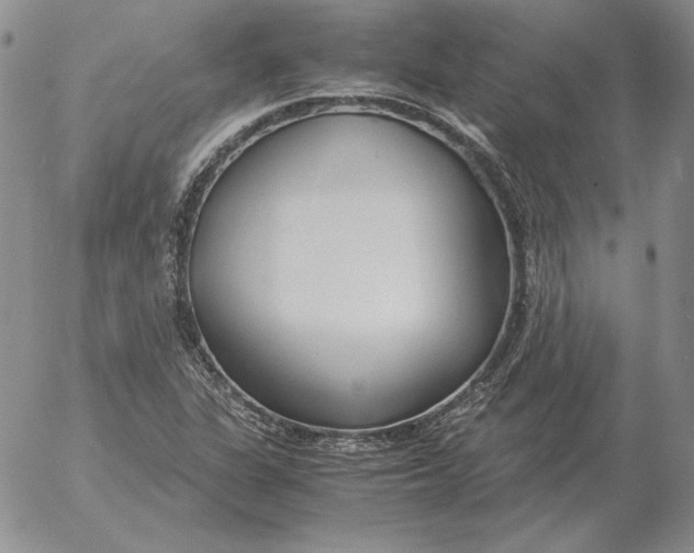 X0000053111311200508012114