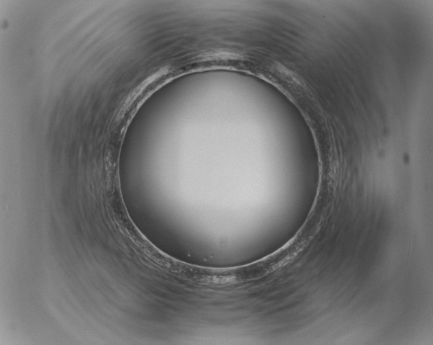 X0000053111313200508012114