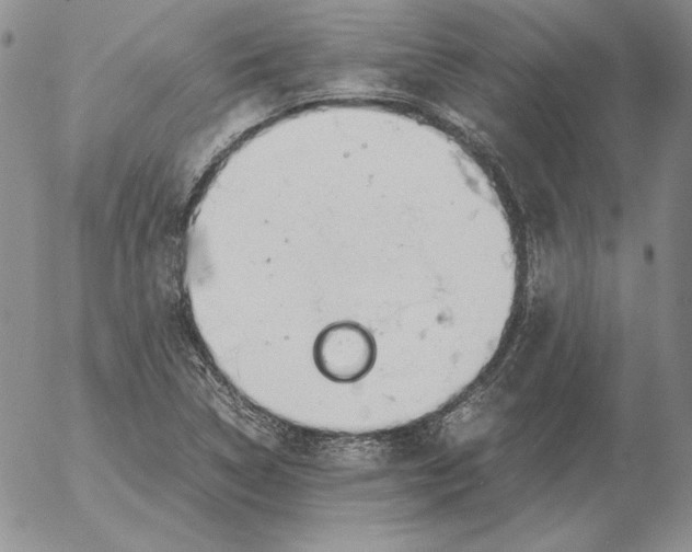 X0000053111314200508012114