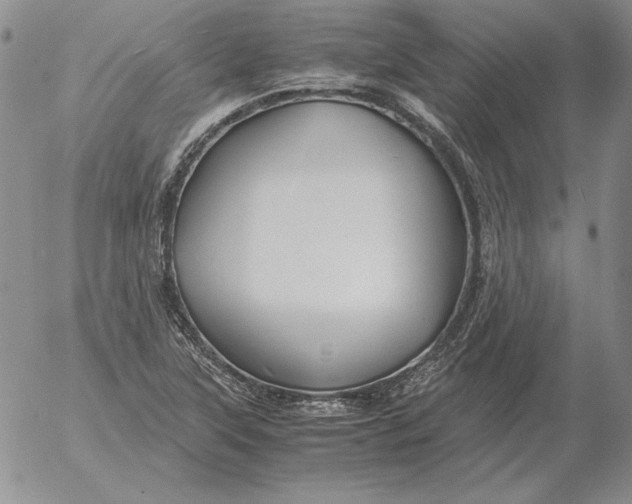 X0000053111315200508012114