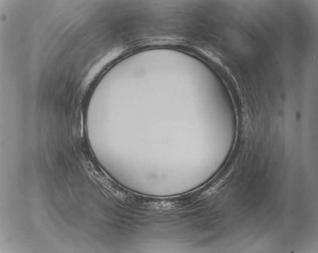 X0000053111317200508012114