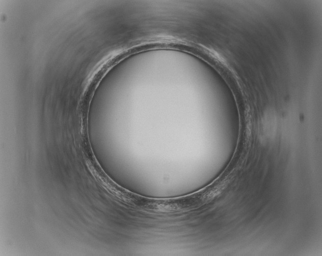 X0000053111318200508012114