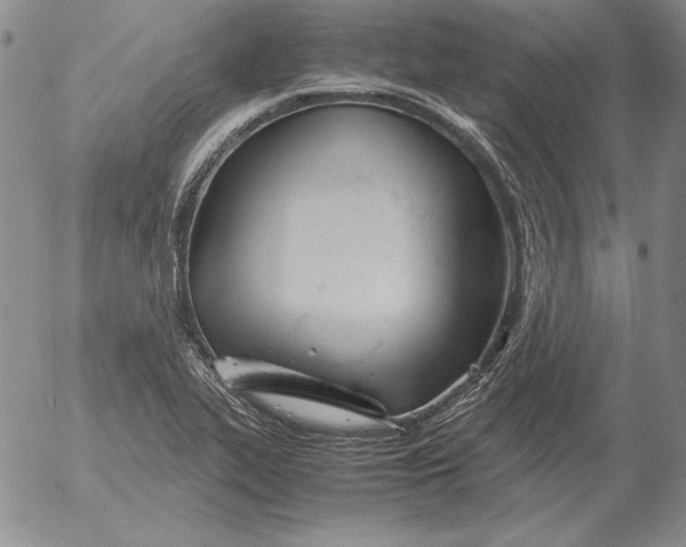 X0000053111319200508012114