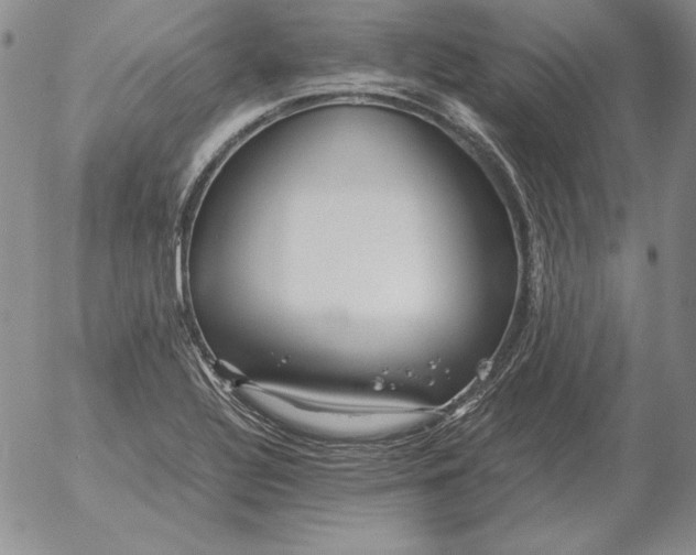 X0000053111320200508012114