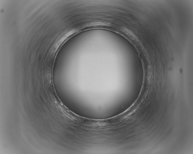 X0000053111321200508012114