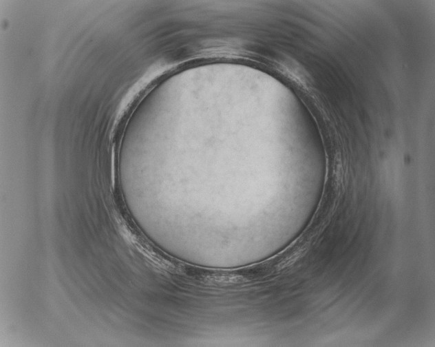 X0000053111323200508012114