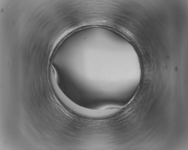 X0000053111324200508012114