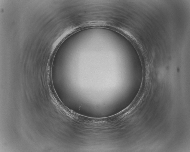 X0000053111325200508012114