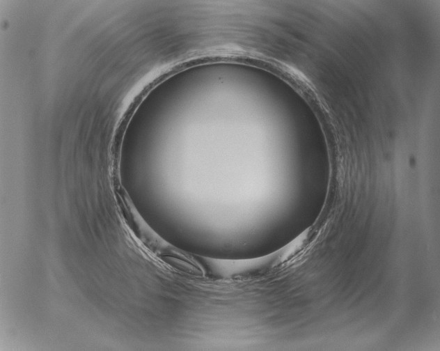 X0000053111326200508012114