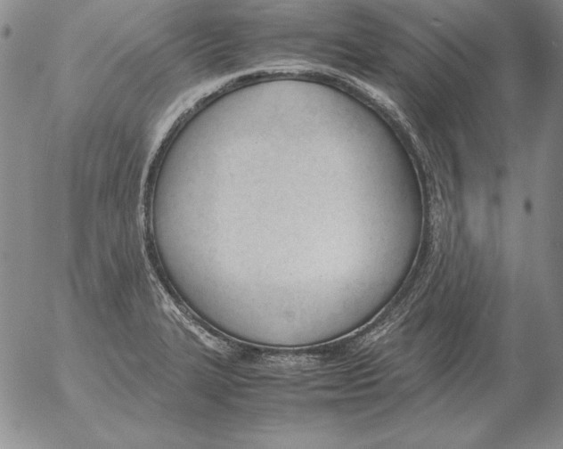 X0000053111327200508012114