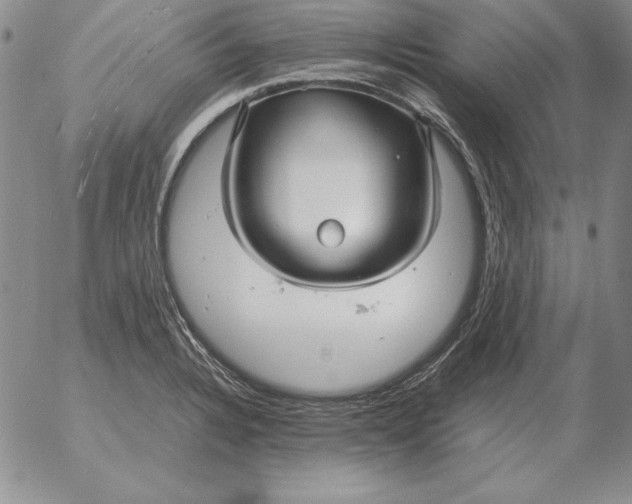 X0000053111328200508012114