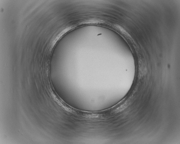 X0000053111329200508012114