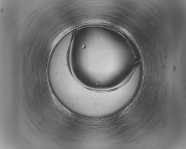 X0000053111330200508012114