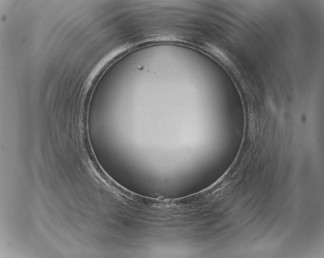 X0000053111331200508012114