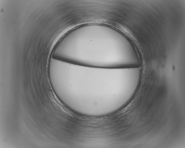 X0000053111332200508012114