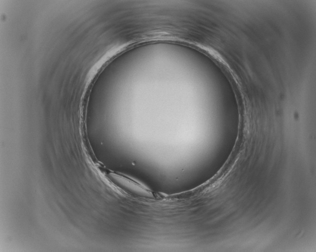 X0000053111333200508012114