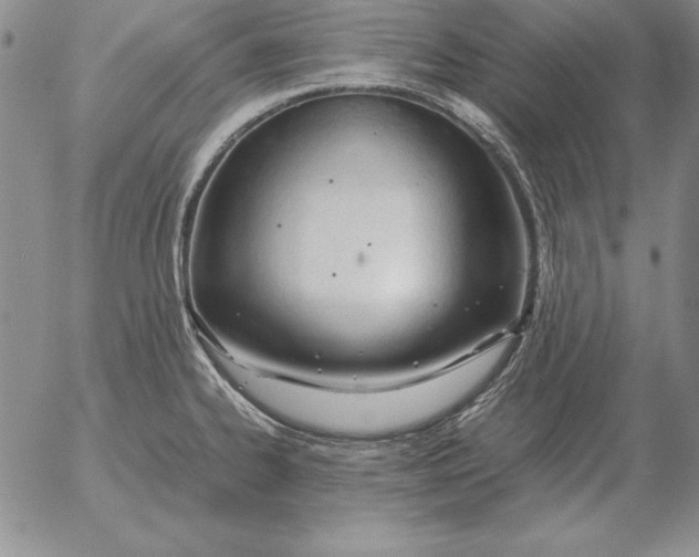 X0000053111334200508012114