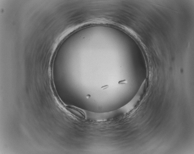 X0000053111335200508012114