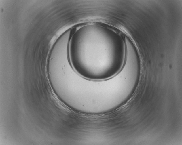 X0000053111336200508012115