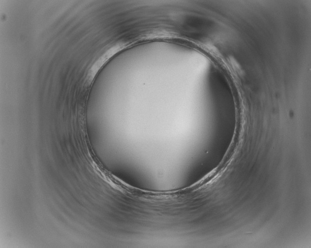 X0000053111337200508012115