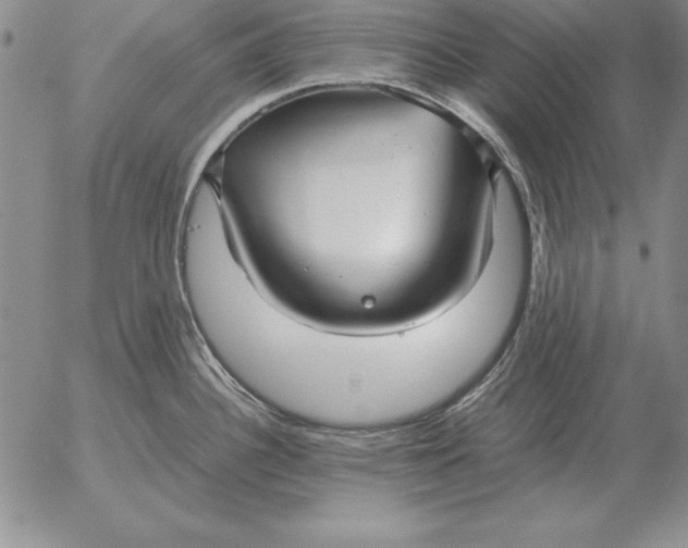 X0000053111340200508012115