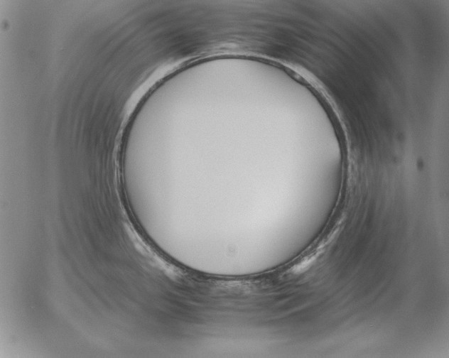 X0000053111341200508012115