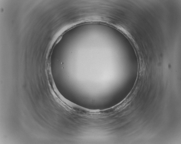 X0000053111342200508012115