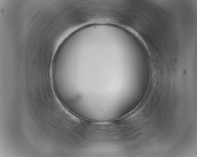 X0000053111343200508012115